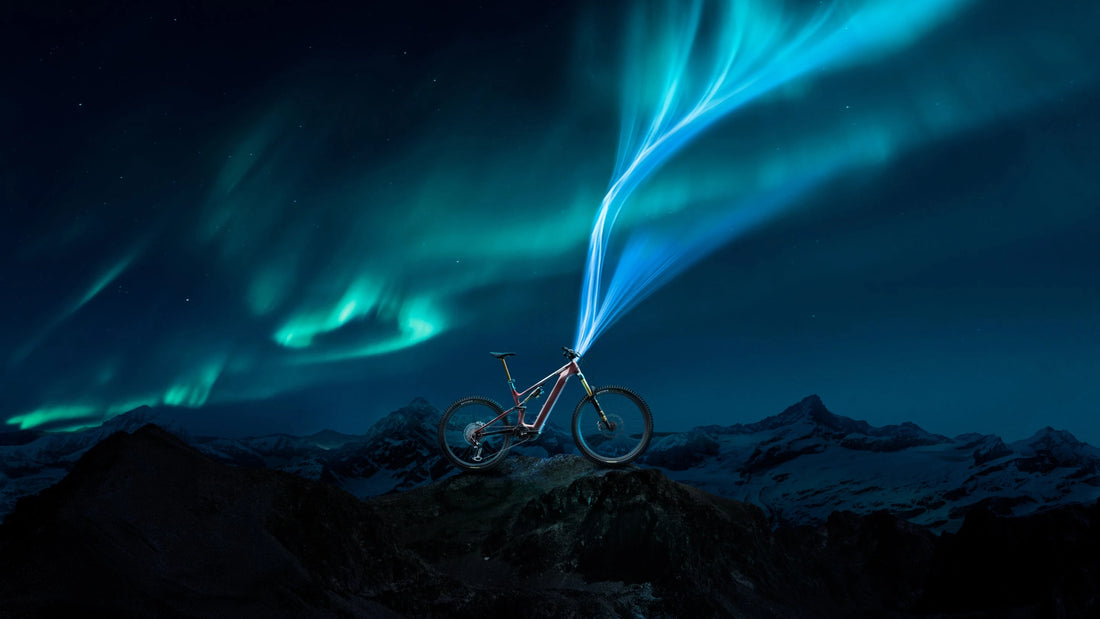 Specialized Turbo Levo