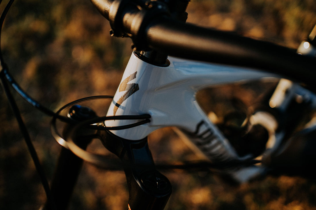 Specialized Sale