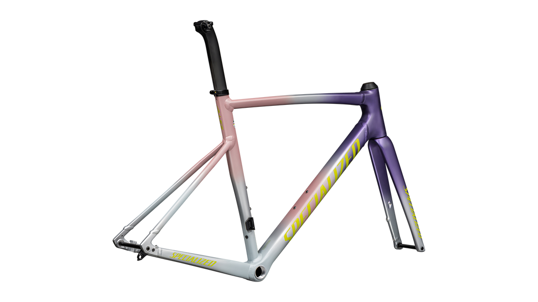 Allez Sprint Frameset - D'Aluisio Smartweld Alloy