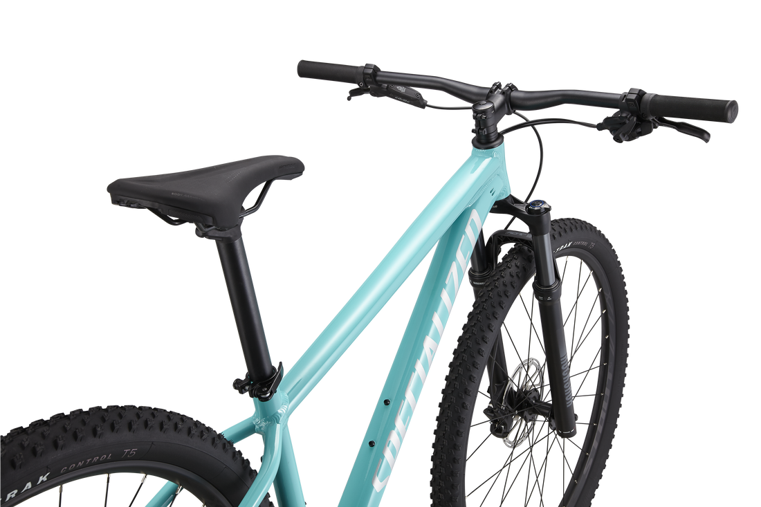 Rockhopper Expert 29