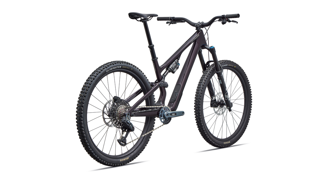 Stumpjumper 15 EVO Expert  - SRAM GX AXS, FOX Performance Elite