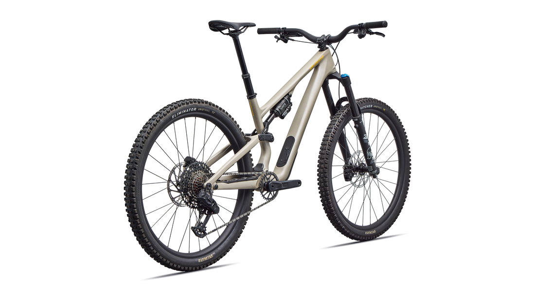 Stumpjumper 15 EVO Comp  - SRAM S-1000 AXS, FOX Rhythm