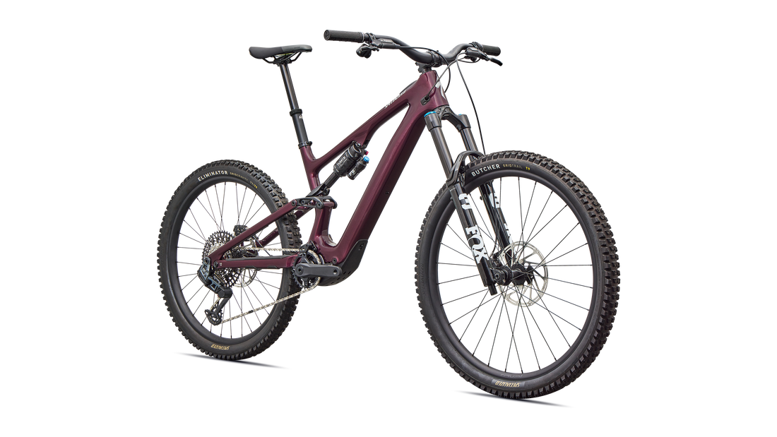 Turbo Levo SL 2 Expert