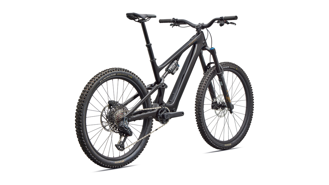 Turbo Levo SL 2 Expert