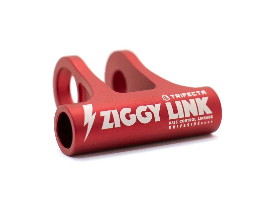 Forbidden Ziggy Link
