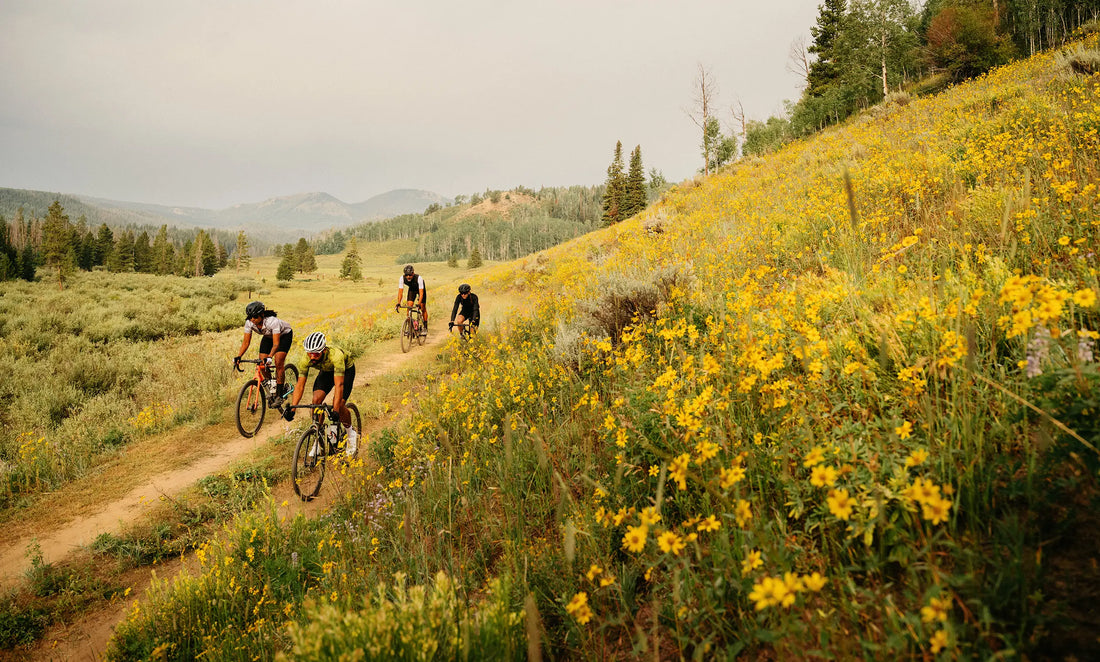 Gravel Bikes