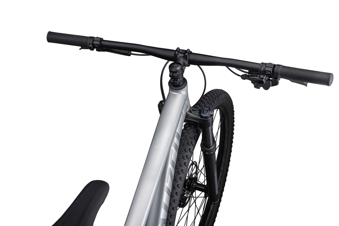 Rockhopper Expert 29