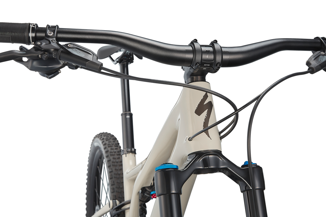 Stumpjumper Expert  - SRAM GX Eagle, Fox Perormance Elite