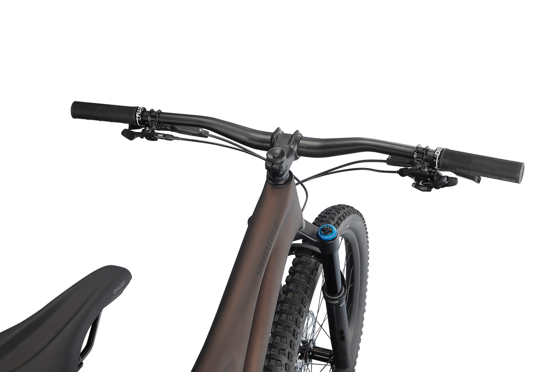 Stumpjumper Expert  - SRAM GX Eagle, Fox Perormance Elite