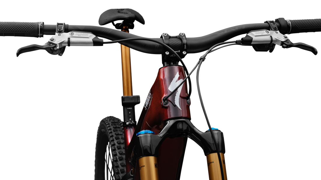 S-Works Turbo Levo 4