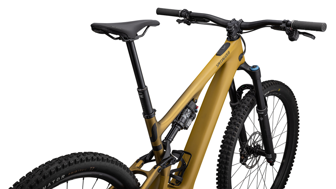 Turbo Levo SL 2 Expert Carbon