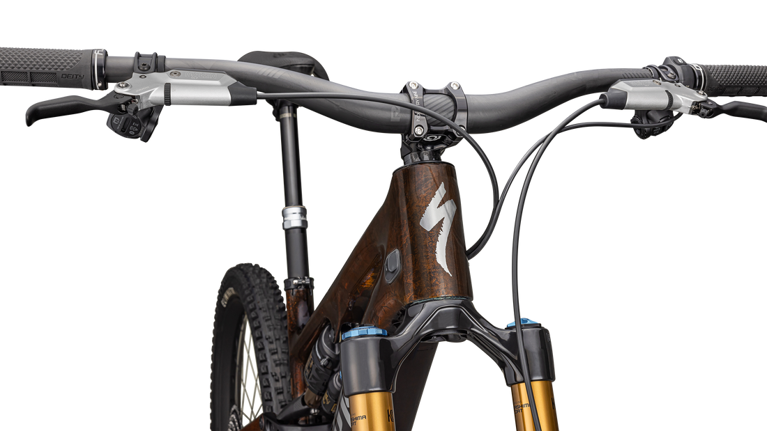 S-Works Turbo Levo SL 2