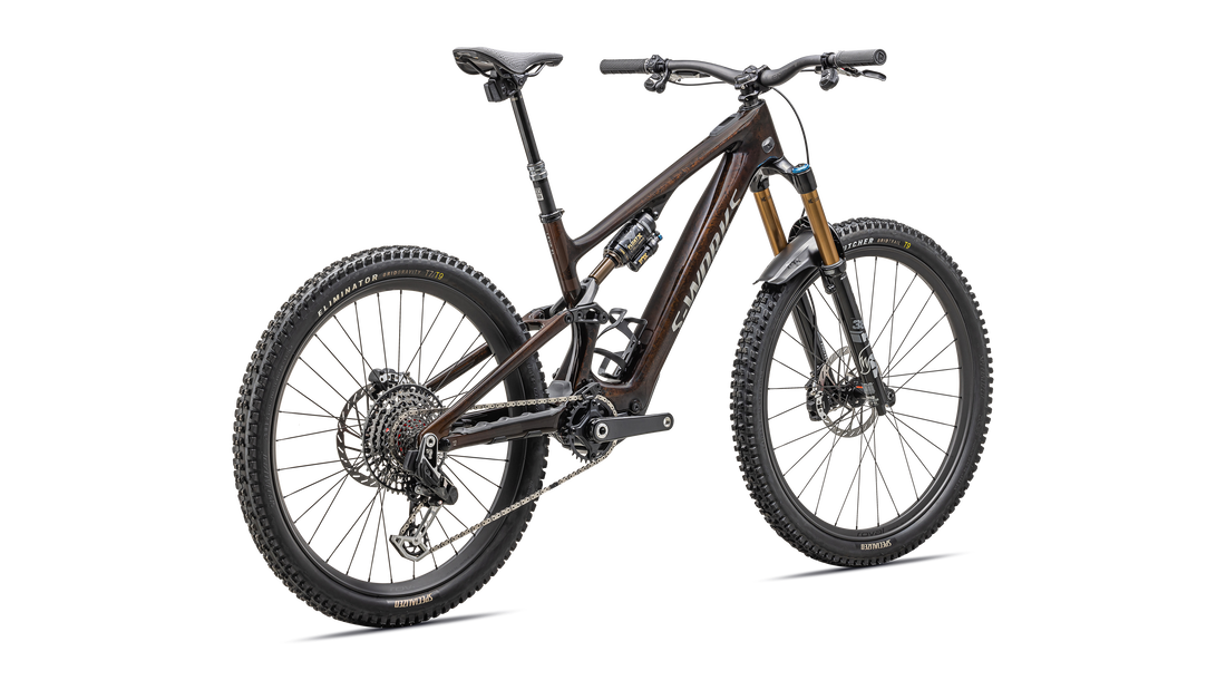 S-Works Turbo Levo SL 2