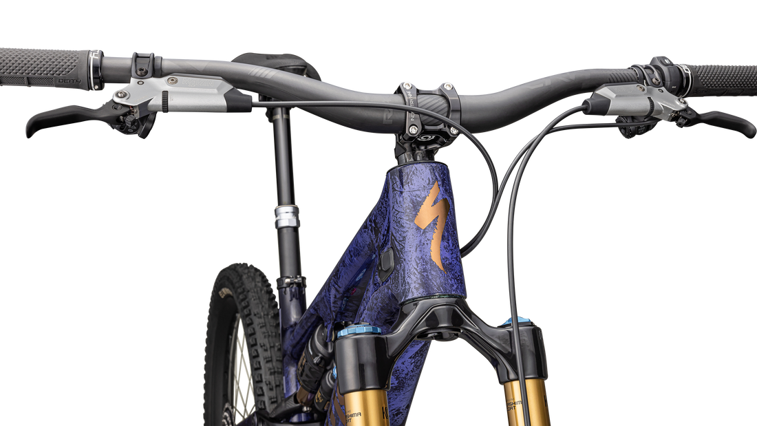 S-Works Turbo Levo SL 2