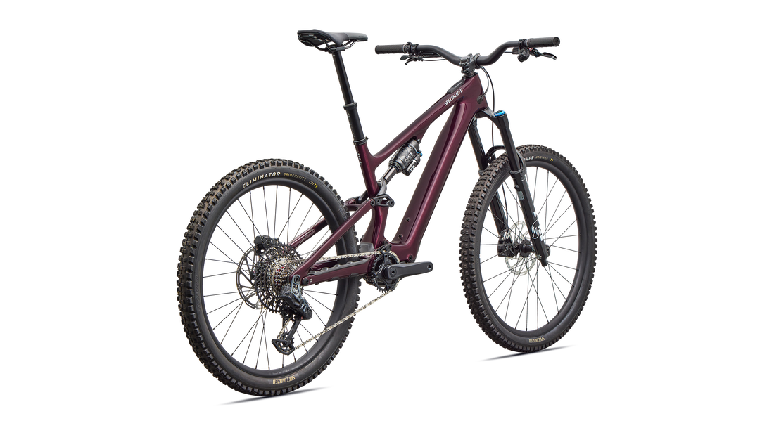 Turbo Levo SL 2 Expert