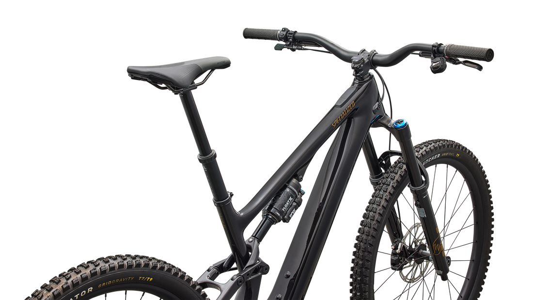 Turbo Levo SL 2 Expert