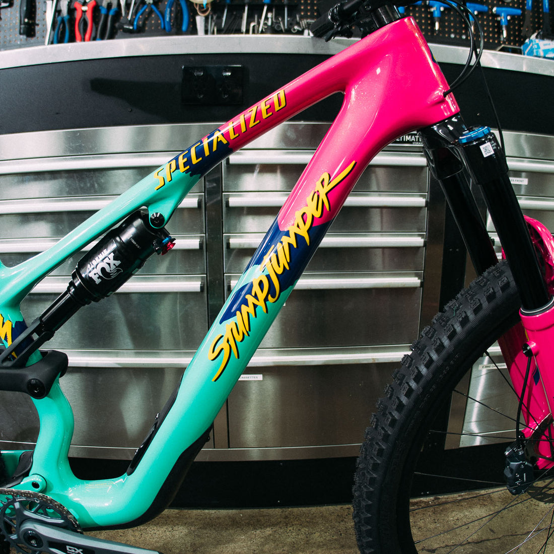 Specialized Stumpjumper 15 Expert - 1989 Anniversary Edition