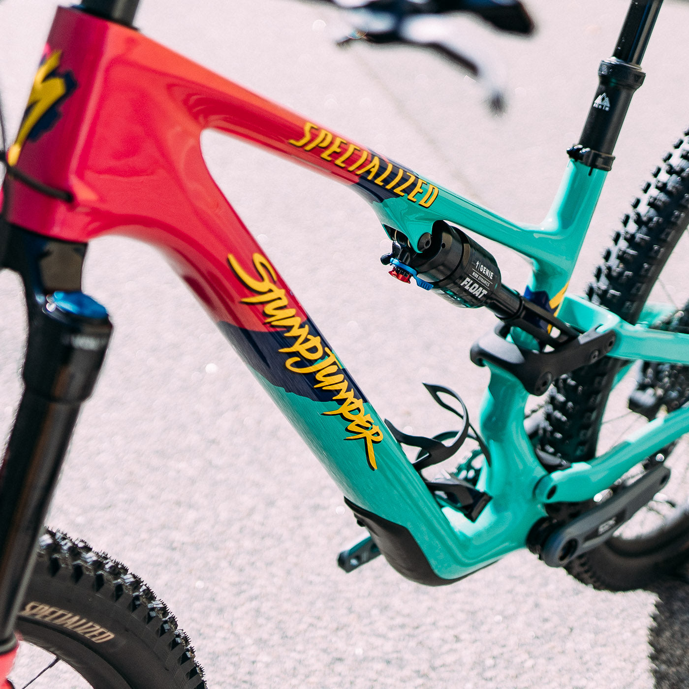 Specialized Stumpjumper 15 Expert - 1989 Anniversary Edition
