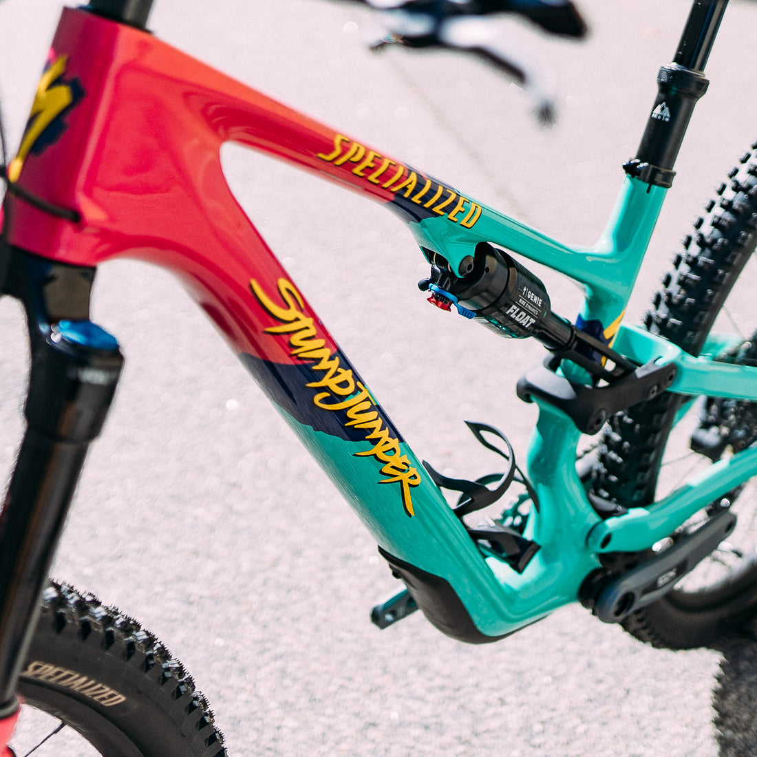 Specialized Stumpjumper 15 Expert - 1989 Anniversary Edition