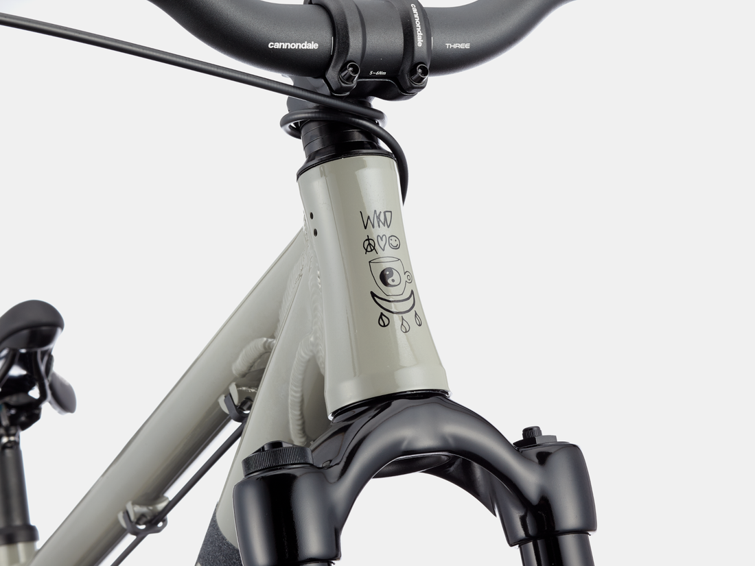 Dirt jump bike on sale handlebars